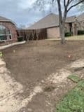 bare dirt yard with cleared area, surrounding houses, and a tree in the background