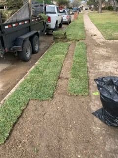 Fresh sod installation on a sidewalk, with a truck and landscaping supplies nearby.