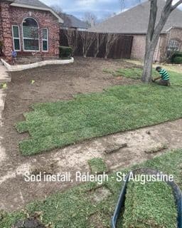 Sod installation in Raleigh with St. Augustine grass in a residential yard.