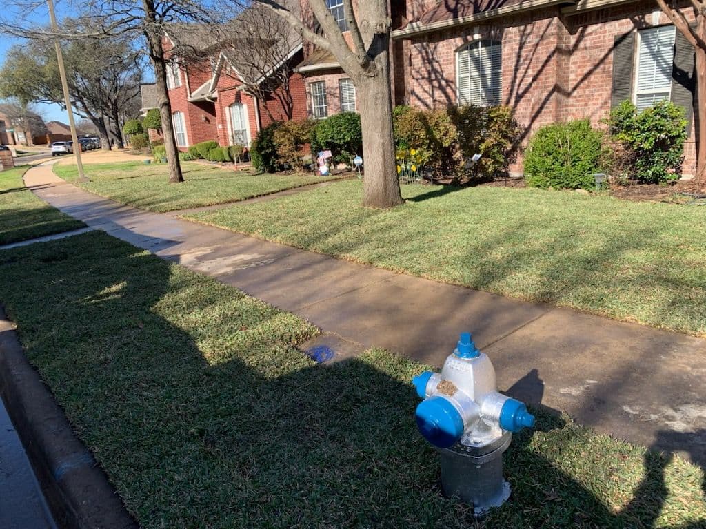 Fire hydrant on a suburban sidewalk with well-maintained grass and houses in the background.