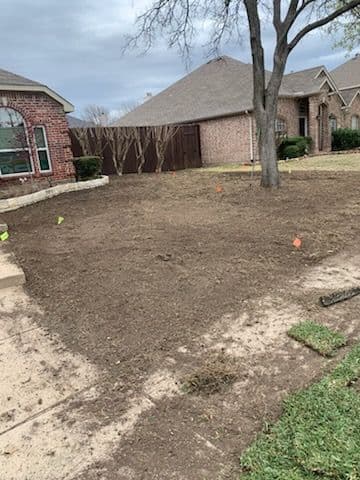 Project St. Augustine Sod Installation in Frisco, TX image