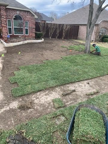 Gallery photos for St. Augustine Sod Installation in Frisco, TX: Image #1