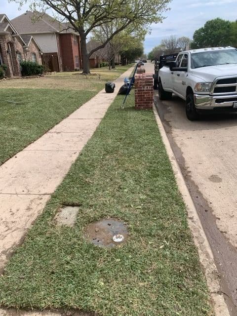 Gallery photos for St. Augustine Sod Installation in Frisco, TX: Image #3