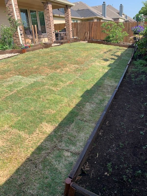 Project Backyard Transformation in Plano, TX image