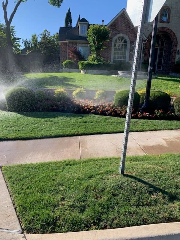 Sprinkler Revamp and Landscaping Excellence in Plano TX