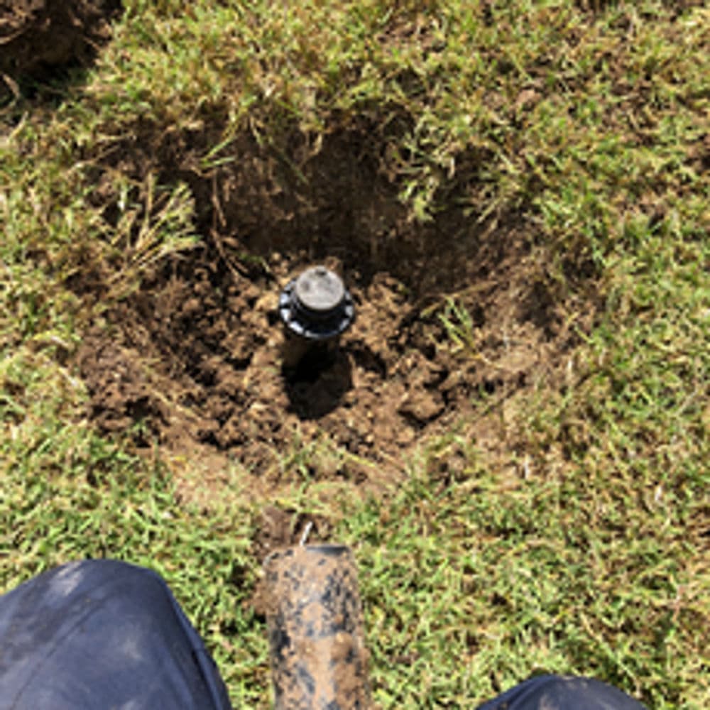 Irrigation system installation with a buried sprinkler head in a grassy area.